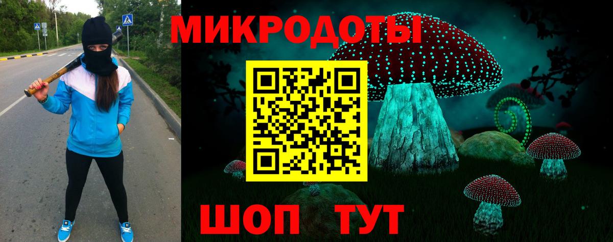 купить наркотики цена  Вход с VPN  Галлюциногенные грибы Magic Shrooms  Балашиха  Псилоцибиновые грибы Psilocybe 